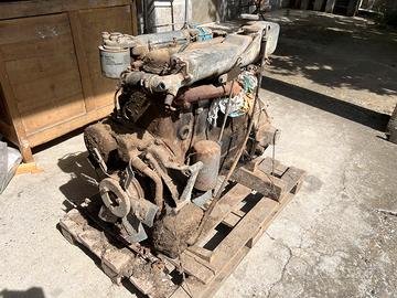 Motore Fiat OM C03-41 4.6 Diesel OM 50