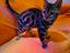 Immagine 4