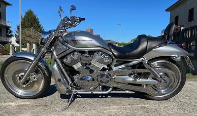 Vendita harley davidson v-road 2006