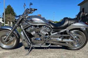 Vendita harley davidson v-road 2006