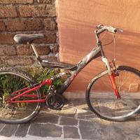 Bicicletta mtb