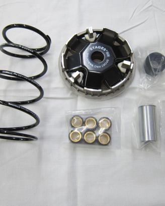 Variatore STAGE 6 Sport Pro per Piaggio tutti Mode