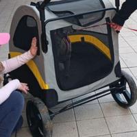 Carrozza per cane taglia grande
