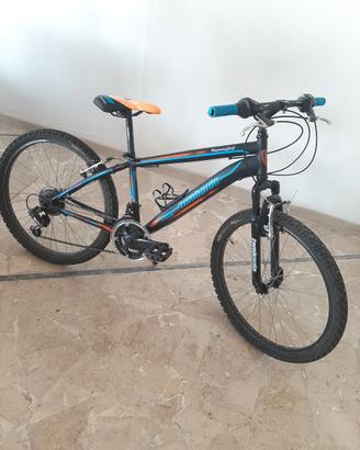 bicicletta bambino o ragazzo