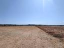 terreno-di-41648-m²-a-san-giovanni-in-marignano