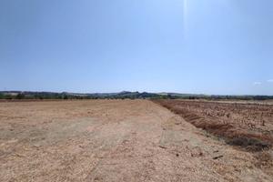 Terreno di 41648 m² a San Giovanni in Marignano