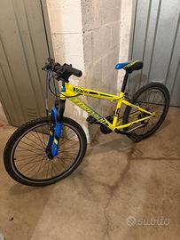 Bicicletta Torpado 24