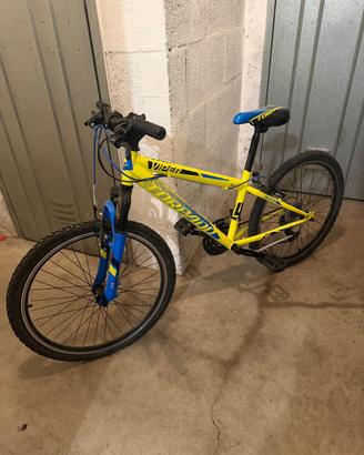 Bicicletta Torpado 24