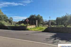 CARINI: TERRENO MQ 9400