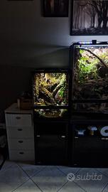 terrario exo terra teca anfibi