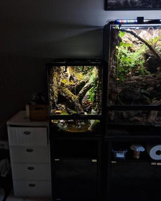 terrario exo terra teca anfibi