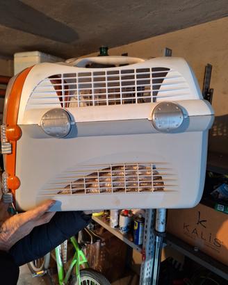 Trasportino per gatto