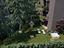 Immagine 9