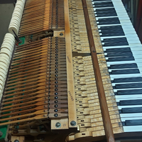 Meccaniche,avorio e accordature pianoforti