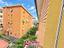 Immagine 19