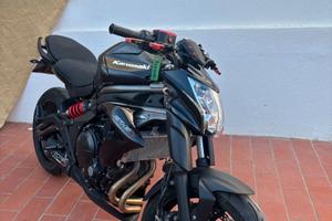 Kawasaki er-6n