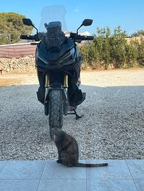 xadv 750 anno 2021 km14000