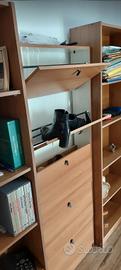 Due scarpiere e tre librerie