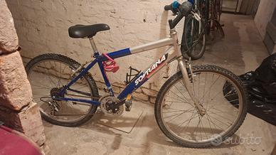 Mountain bike 