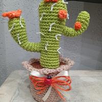 cactus piantina 