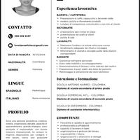 Badante, babysitter, cameriera, lavapiatti, pulizi