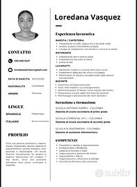 Badante, babysitter, cameriera, lavapiatti, pulizi