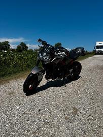 Kawasaki Z900 2023
