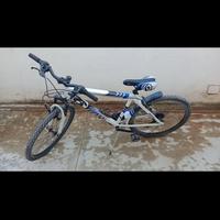 bici da ragazzino 