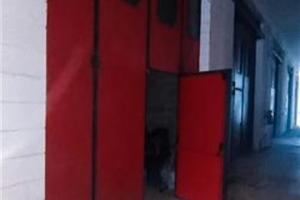 RGE 79/2023 - Tribunale di Urbino - Lotto 2