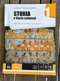 Storia e storie settoriali 1