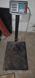 bilancia bilico elettronica 