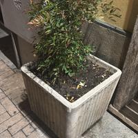 Fioriere in pietra
