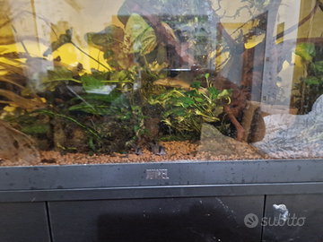 Acquario juwel 180
