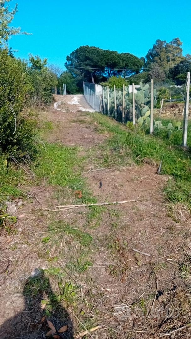 Terreno agricolo - Vista 2