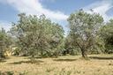 ter-residenziale-a-casperia