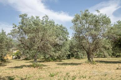 TER. RESIDENZIALE A CASPERIA