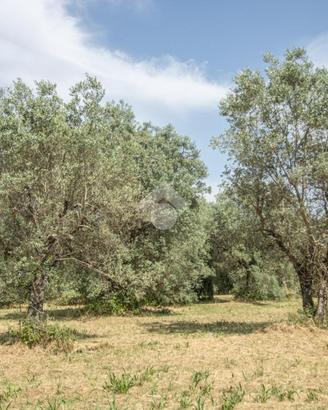 TER. RESIDENZIALE A CASPERIA
