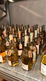 Collezione privata Grappe Romano Levi – oltre 200 