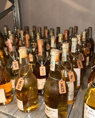 Collezione privata Grappe Romano Levi – oltre 200 
