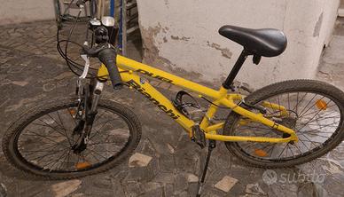 Bicicletta MTB Bianchi Duel gialla  da  bambino 