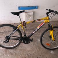 Bici TOPBIKE