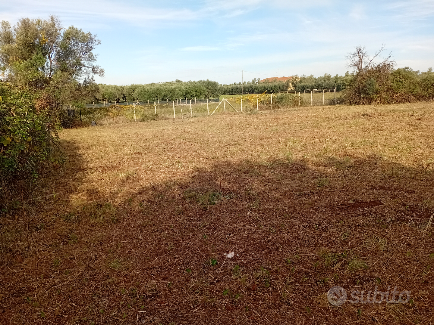 Terreno agricolo - Altro