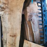 Tavole legno