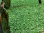 Immagine 5