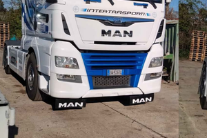 Trattore stradale Man 2014 (fine)