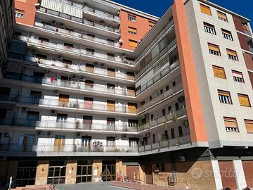 Quadrivani e mezzo ampio zona stadio