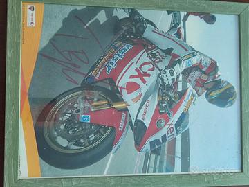 Troy Bayliss 