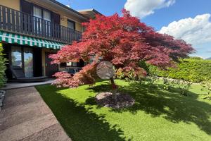 VILLA A SCHIERA A TRESCORE BALNEARIO