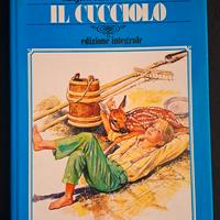 Libro Il Cucciolo 25×18 