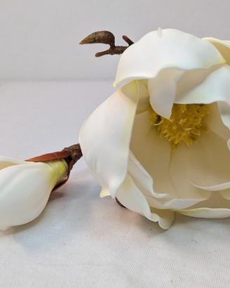 Rituali Domestici Maggie – ramo di magnolia bianca